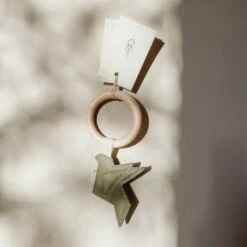 BEZISA Birds Rammelaar Pistache Green -Winkel Voor Babyproducten 8720618125347 2 9ad2