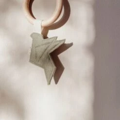 BEZISA Birds Bijtring Pistache Green -Winkel Voor Babyproducten 8720618125392 3 8eea