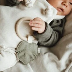 BEZISA Leaves Bijtring Pistache Green -Winkel Voor Babyproducten 8720618125859 1 1ff0