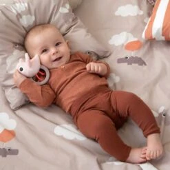 Done By Deer Birdee Ringrammelaar - Powder -Winkel Voor Babyproducten Done By Deer Birdee Ringrammelaar Powder 4 bdcb