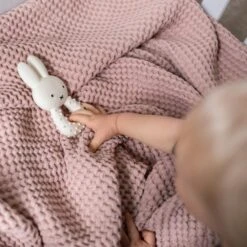 Nijntje Bijtspeeltje -Winkel Voor Babyproducten Nijntje Bijtring 10 4473