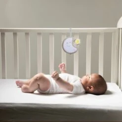 Chicco Next2Dreams Muziekmobiel Beige -Winkel Voor Babyproducten chicco next2dreams muziekmobiel beige 3 2cbc